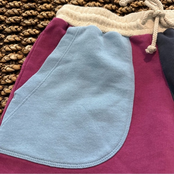 L*SPACE Active Colorblock Purple Don’t Sweat It Sidelined Short - Picture 8 of 11